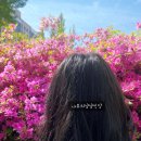 살롱드포레 - 용인시 수지구 | 살롱드포레