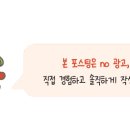 윤앤솔