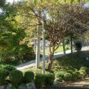 화야산장펜션 이미지