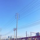 세탁소가는길 이미지