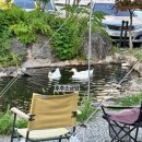 서둔동 292 이미지