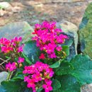 송정환경 이미지