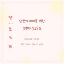 펫보드레 이미지