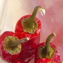 니랑나랑 이미지