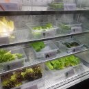 백종원의원조쌈밥집춘천석사점 이미지