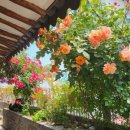 욱이네민박 이미지