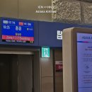 746 | 인천↔홍콩 아시아나항공 OZ745/OZ746 탑승 후기 | 기내식, 지연 출발?