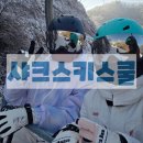 반전 | 엘리시안강촌 스키강습 반전 후기