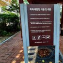 마금산온천족욕체험장 이미지