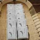 카페호야# 이미지