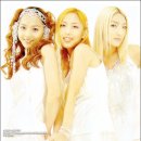 파마머리 이미지