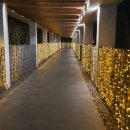 한화리조트제주 이미지