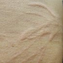 젠 바이오 이미지