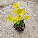 순희농장 이미지