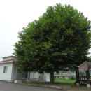 계현2구 이미지