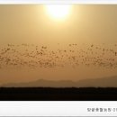 보리와철새 네이버블로그