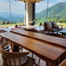 문경다원