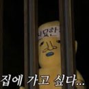 리앤드딩 이미지