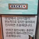 오르치그로치 | 안산 중앙동 애견카페 오르치그로치 내돈내산 후기
