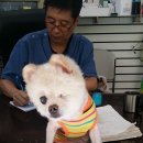 방주종합동물병원 이미지