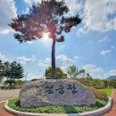 자연생태공원 잔디광장 옆 이미지