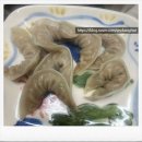 오뚜기숯불갈비 | 냉동만두 추천 비교-비비고, 풀무원 얄피, 노브랜드 갈비만두, 오뚜기 XO교자 후기(내돈내산)
