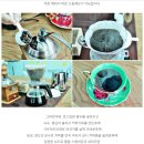 ▶ 커피농장 체험과 아침고요수목원 "불빛축제"오감만족 2월17일(일) 당일나들이 이미지