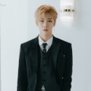 호영