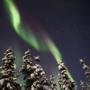 빛의 소나타 이미지