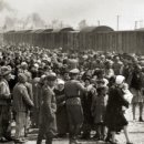 백인목장 2 이미지