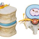 광주신경외과의원 이미지