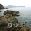 동해-단속-27 이미지