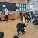 여수진남중학교 이미지