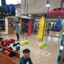 평촌 권투체육관 이미지