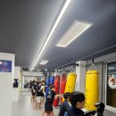 팀맥 스타짐 이미지