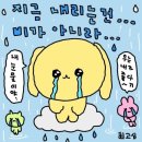 브루쓰