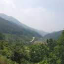 진들농장 이미지