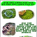시골밥상펜션 네이버블로그