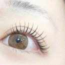 오래쉬(O’LASH) 이미지