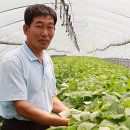 귀농영농 희망찾기▒ 희망 영농인▒ ‘최고값’ 농가를 가다 ⑹깻잎 재배 김응섭씨 이미지