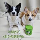 제리펫 | (강아지 영양제 추천)제리스타일스 조인트 강아지 영양제 급여 후기