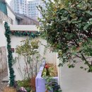 하이커피 이미지