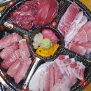 쪼이참치 이미지