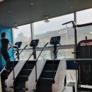 준1:1PT헬스 이미지