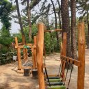 키즈숲