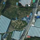 강정동-66 이미지