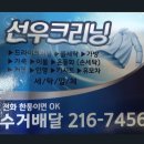 선우 운동화 손세탁 이미지