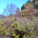섬진산업 Daum카페