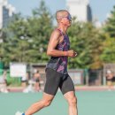 아르피아 이미지