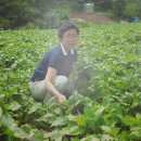 모래내길 이미지